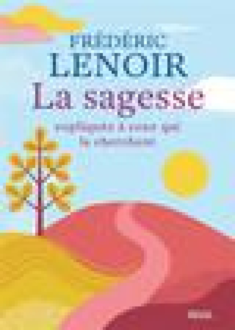 LA SAGESSE EXPLIQUEE A CEUX QUI LA CHERCHENT - LENOIR FREDERIC - SEUIL