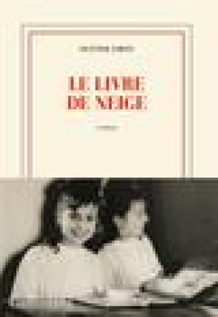 LE LIVRE DE NEIGE - LIRON OLIVIER - GALLIMARD