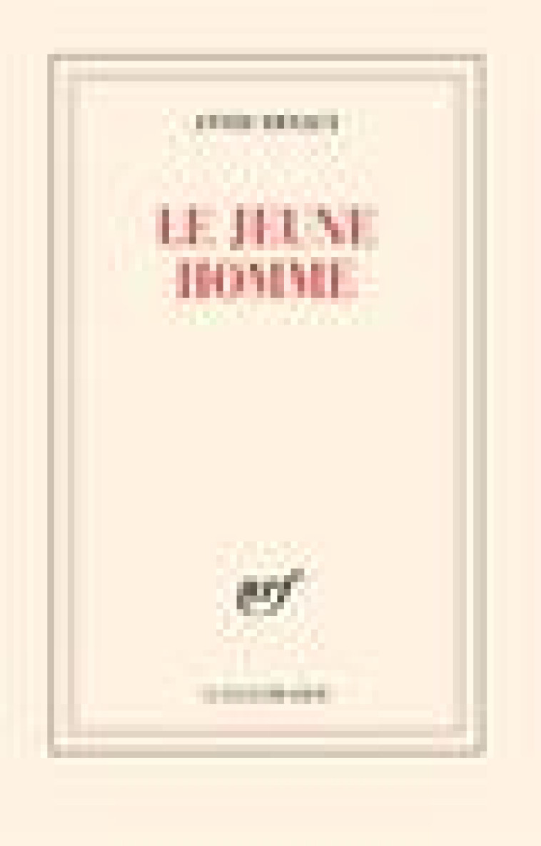 LE JEUNE HOMME - ERNAUX ANNIE - GALLIMARD