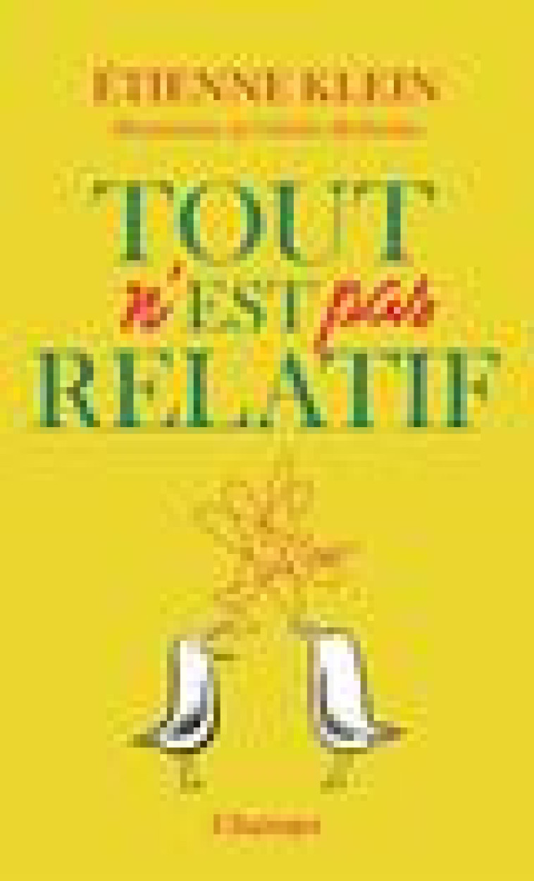 TOUT N-EST PAS RELATIF - KLEIN/BERBERIAN - FLAMMARION