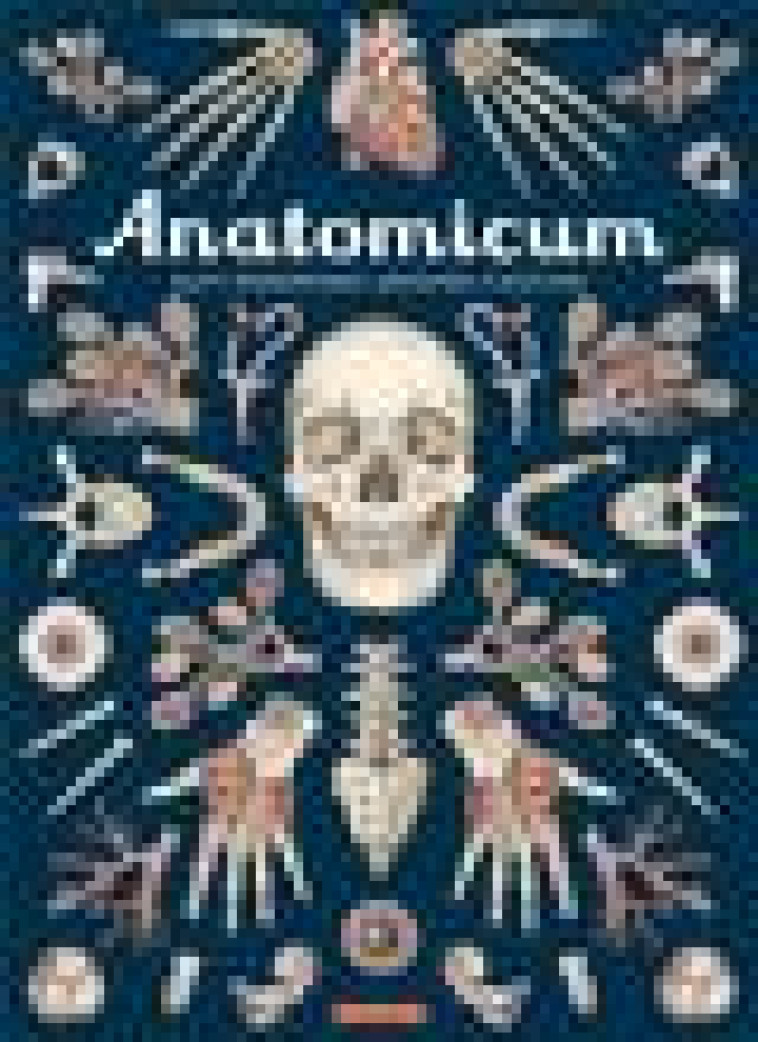 ANATOMICUM - WIEDEMANN/PAXTON - CASTERMAN