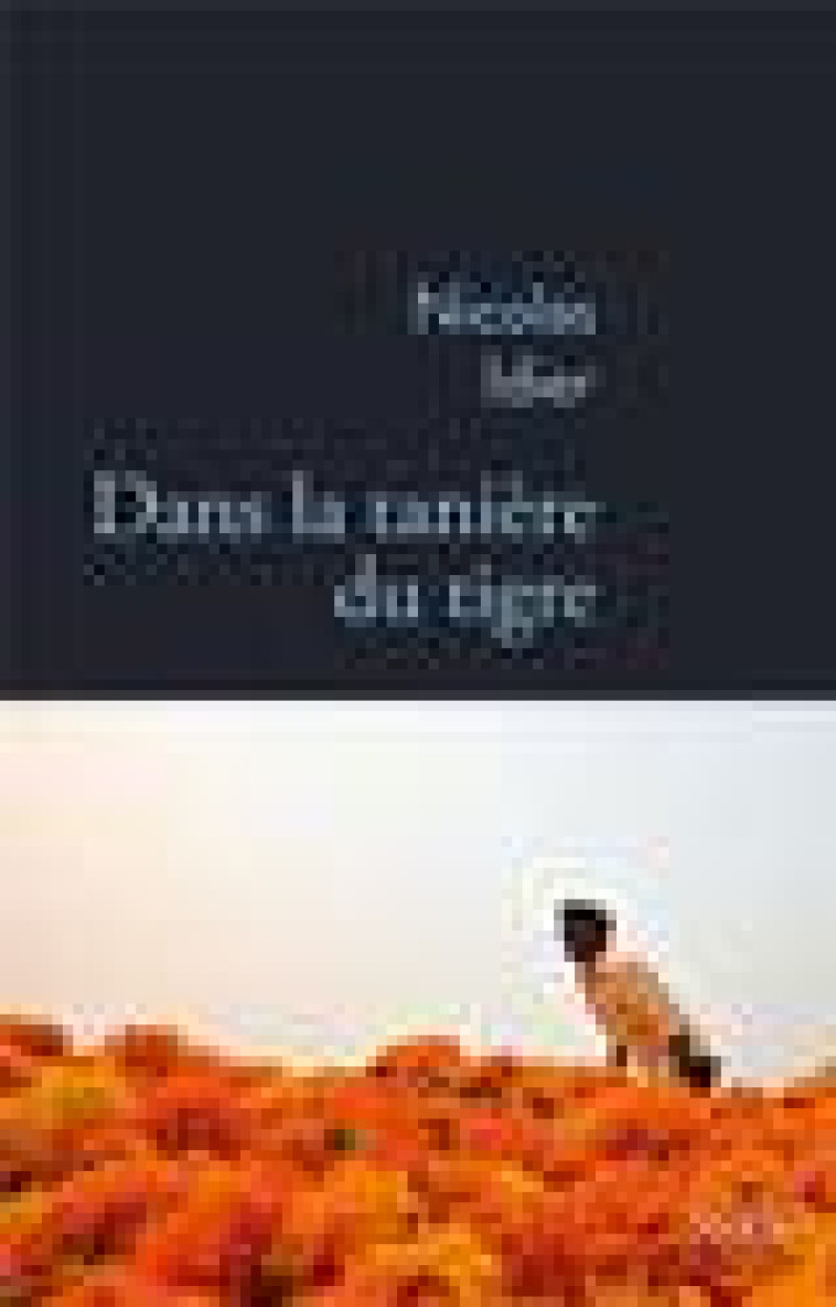 DANS LA TANIERE DU TIGRE - IDIER NICOLAS - STOCK