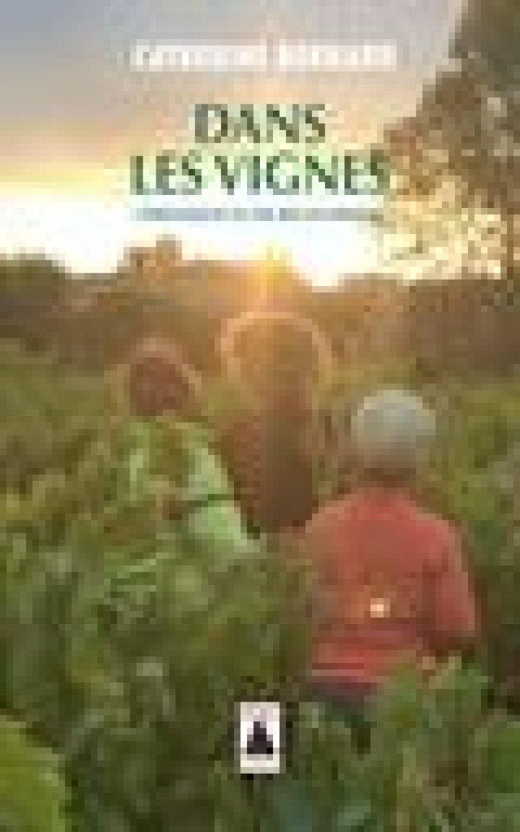 DANS LES VIGNES - CHRONIQUES D-UNE RECONVERSION - BERNARD CATHERINE - ACTES SUD