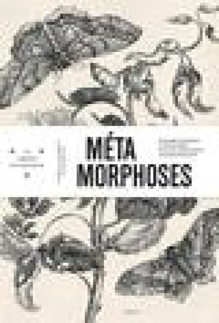 METAMORPHOSES - NUMERO 17 HISTOIRE NATURELLE ET DIDACTIQUE DANS LES COLLECTIONS STRASBOURGEOISES - V - COLLECTIF - MAM STRASBOURG