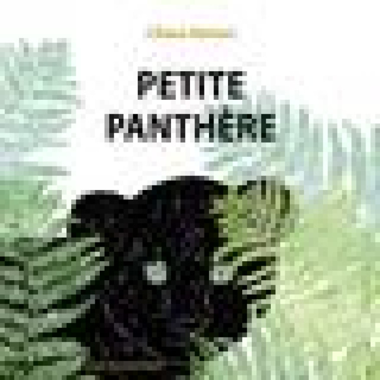 PETITE PANTHERE - RAINERI CHIARA - RUE DU MONDE