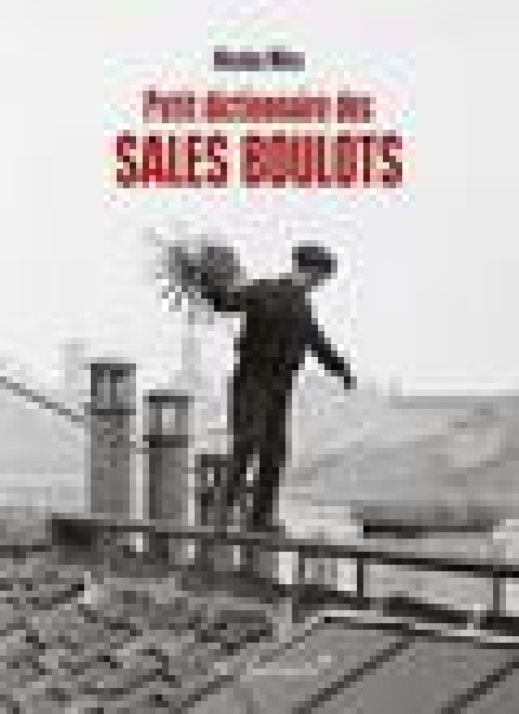 PETIT DICTIONNAIRE DES SALES BOULOTS - MERA NICOLAS - VENDEMIAIRE