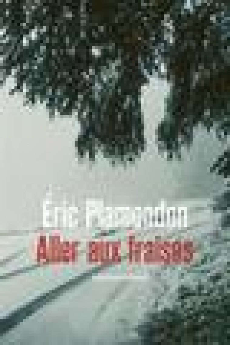 ALLER AUX FRAISES - PLAMONDON ERIC - QUIDAM