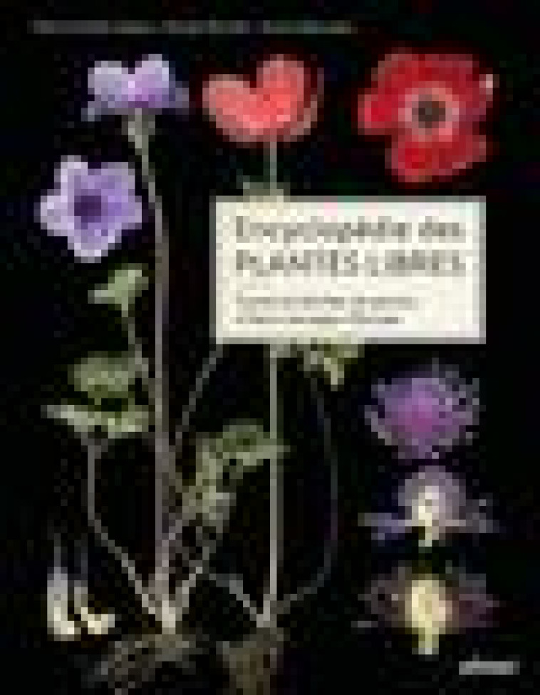 ENCYCLOPEDIE DES PLANTES LIBRES - TOUTES LES FAMILLES DE PLANTES A FLEURS SAUVAGES D-EUROPE - VIGNES/ABOUCAYA - ULMER