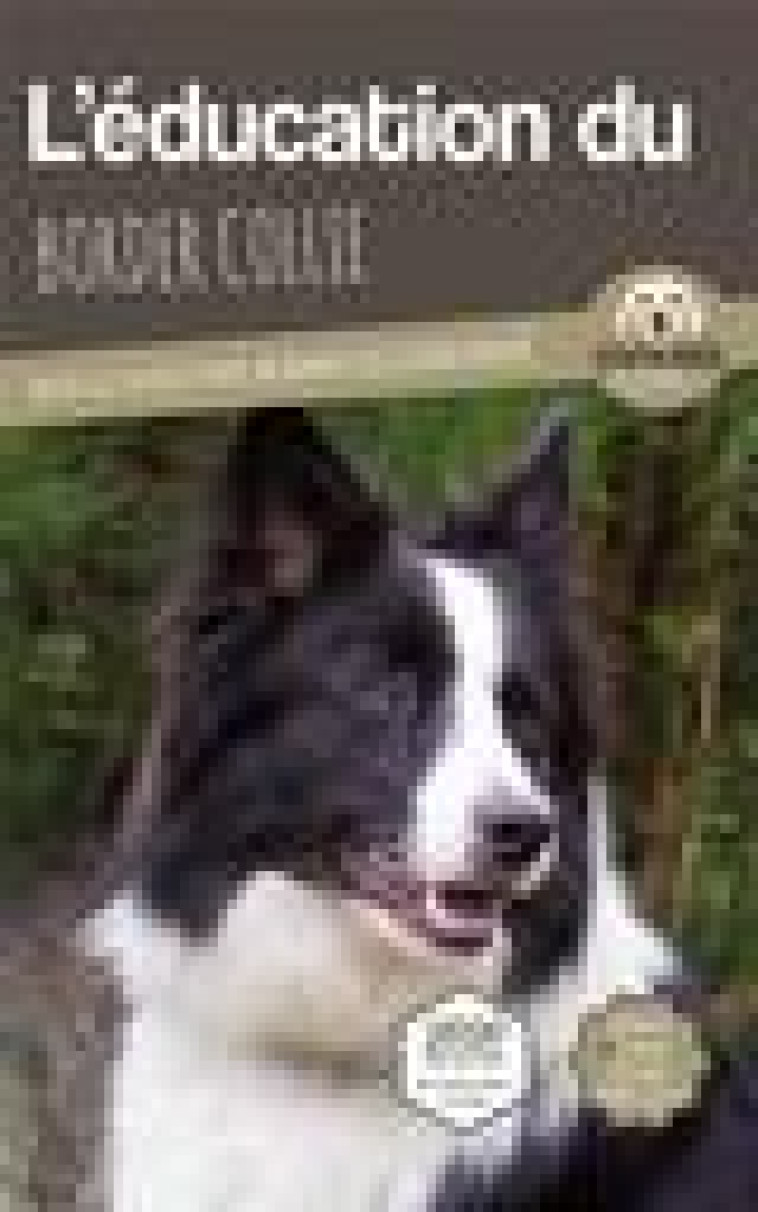 L-EDUCATION DU BORDER COLLIE - TOUTES LES ASTUCES POUR UN BORDER COLLIE BIEN EDUQUE - MOUSS LE CHIEN - CARRE MOVA