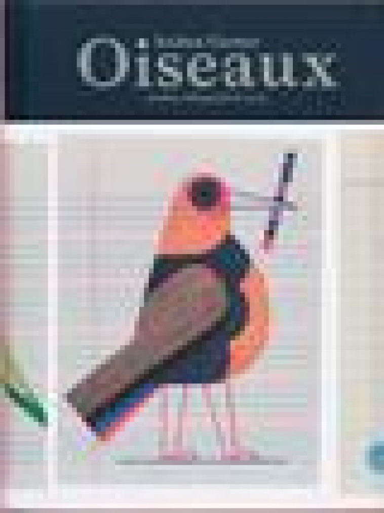 OISEAUX - ILLUSTRATIONS, COULEUR - GERNER/COCCIA - DU LUMIGNON