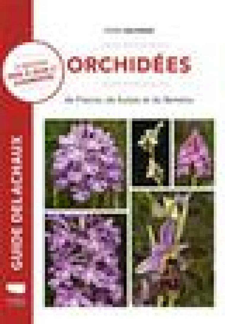 ORCHIDEES DE FRANCE, DE SUISSE ET DU BENELUX - DELFORGE PIERRE - DELACHAUX