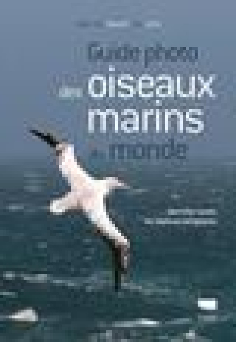 GUIDE PHOTO DES OISEAUX MARINS DU MONDE - IDENTIFIER TOUTES LES ESPECES PELAGIQUES - HOWELL/ZUFELT - DELACHAUX