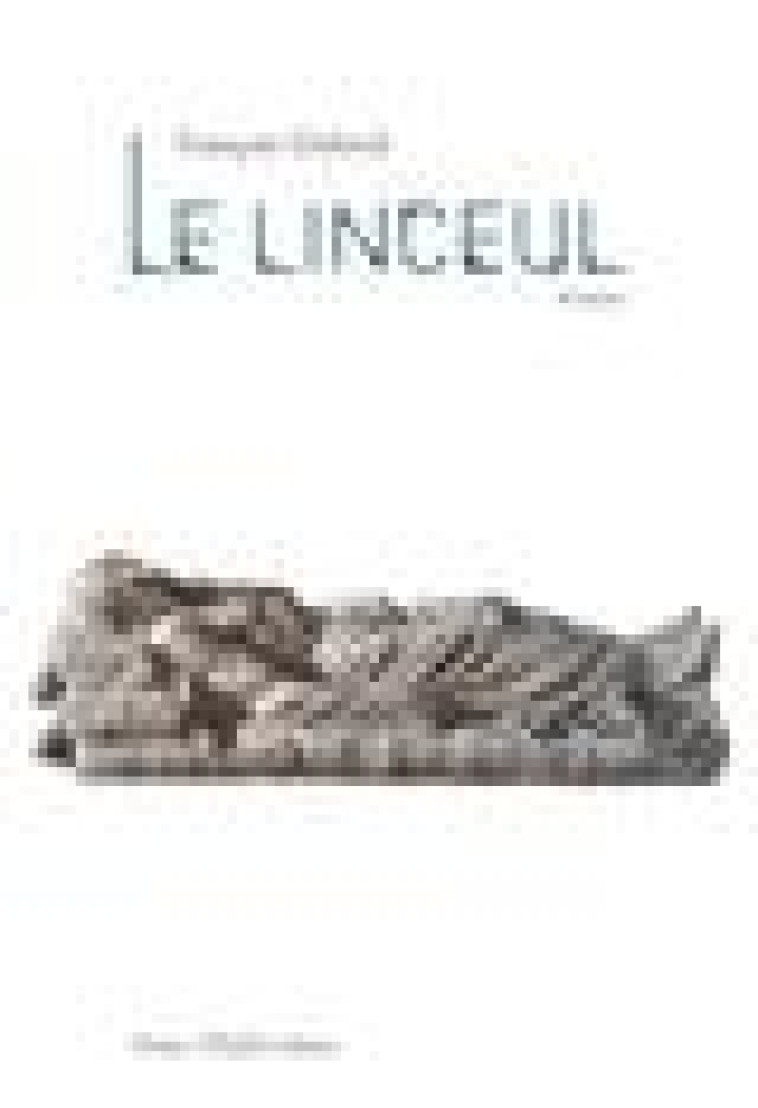 LE LINCEUL - ROMAN - DUBREIL FRANCOIS - TEQUI