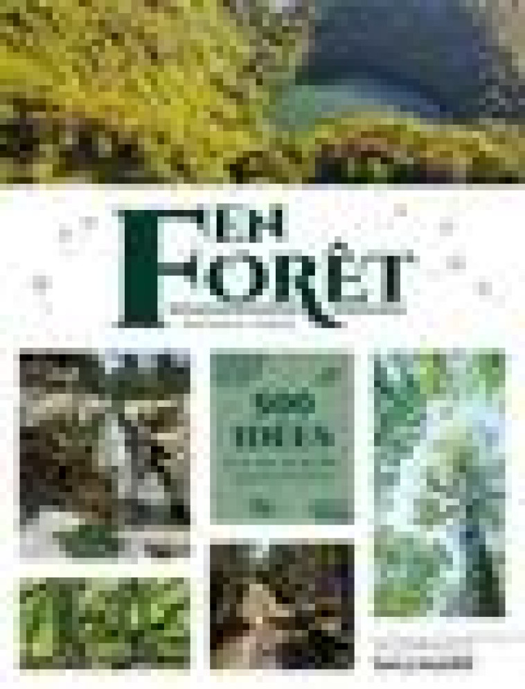 EN FORET - 500 IDEES POUR DES ESCAPADES NATURE EN FRANCE - PENOT NATASHA - Gallimard-Loisirs