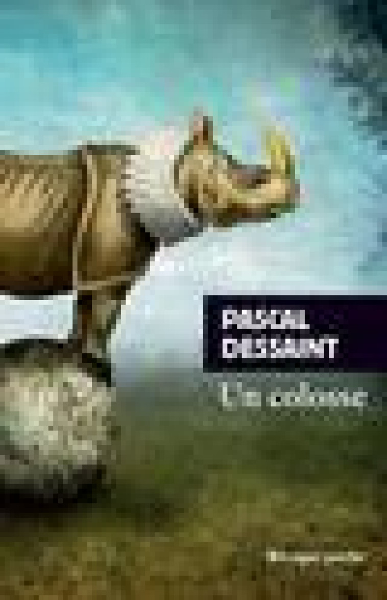 UN COLOSSE - DESSAINT PASCAL - Rivages