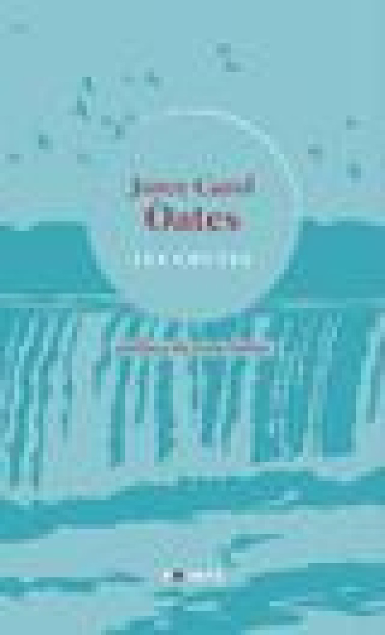 LES CHUTES - PREFACE DE LOLA LAFON - OATES JOYCE CAROL - POINTS