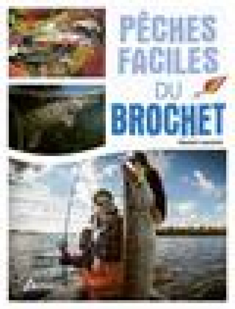 PECHES FACILES DU BROCHET - LAURENT DANIEL - ARTEMIS