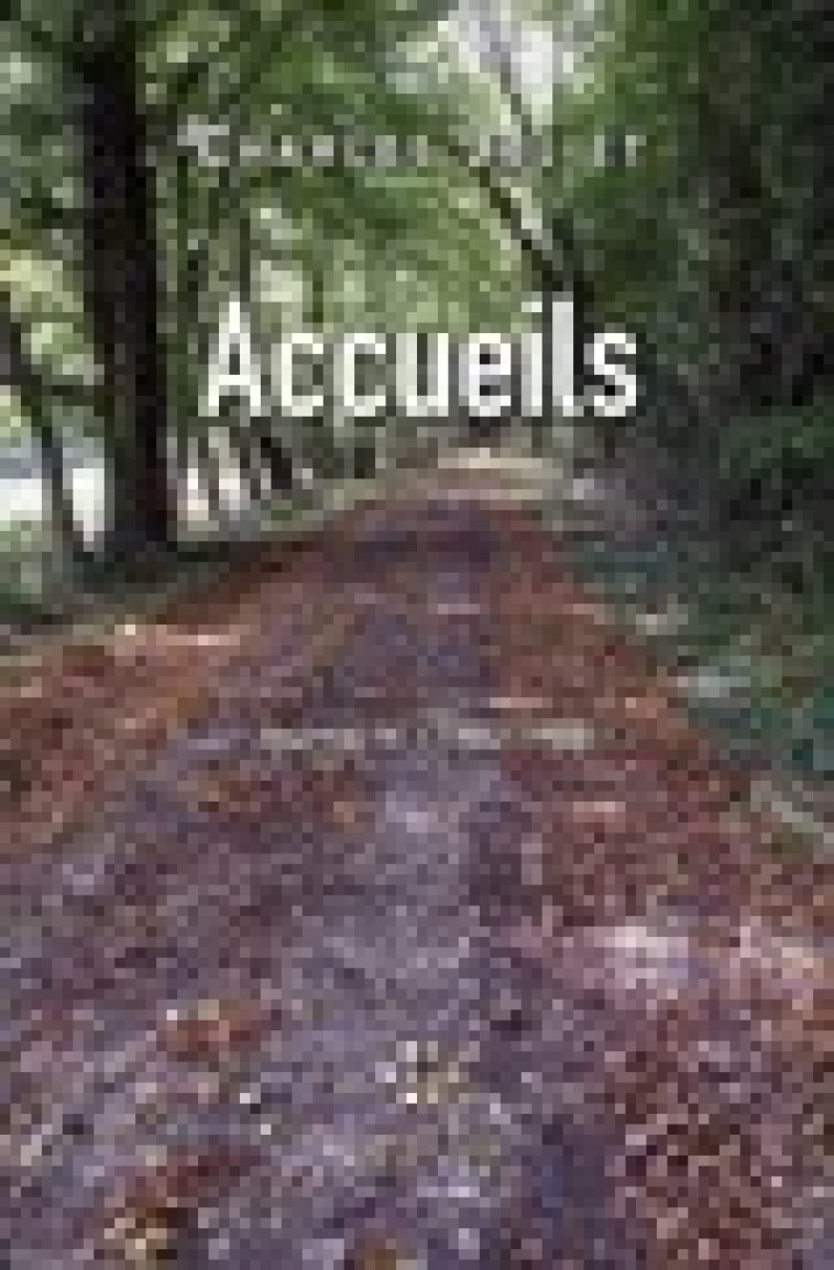 JOURNAL - IV - ACCUEILS - (1982-1988) - JULIET CHARLES - POL