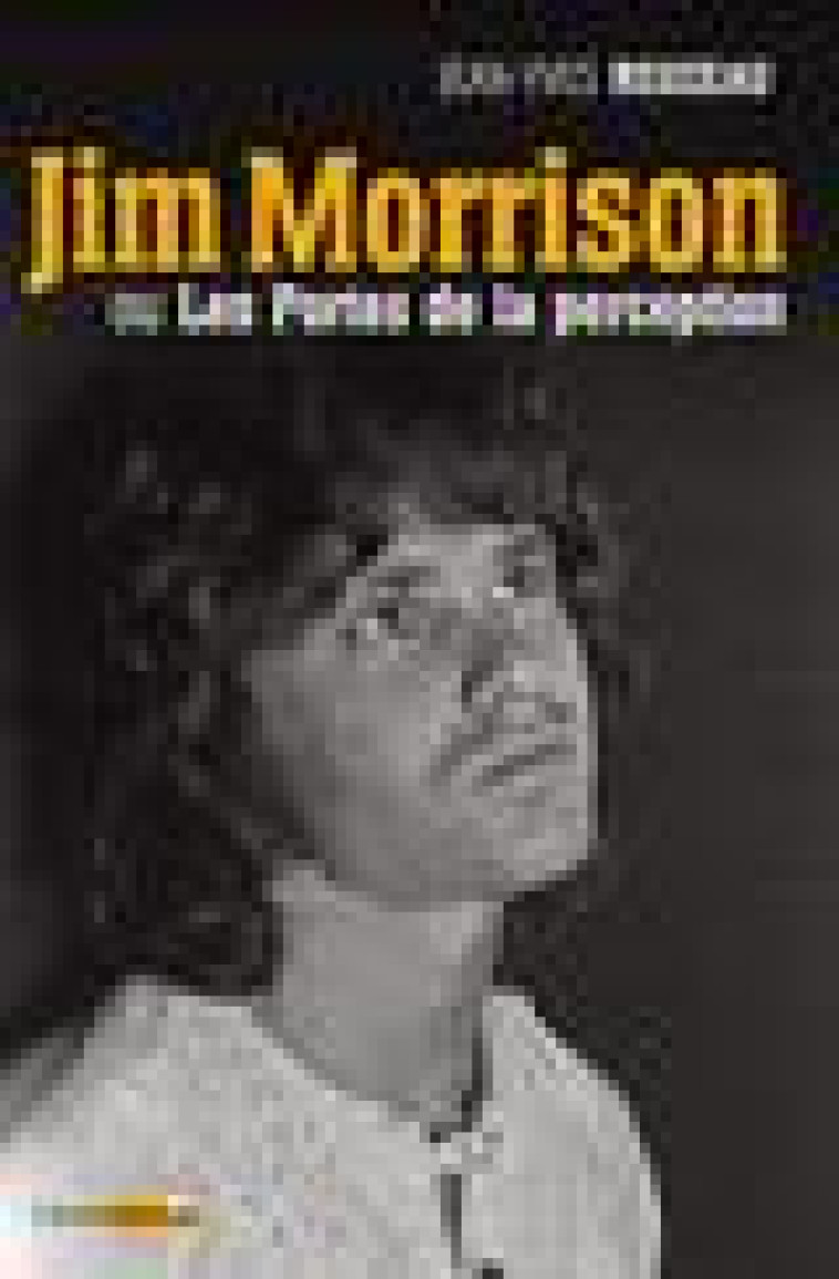 JIM MORRISON OU LES PORTES DE LA PERCEPTION - REUZEAU/ASSAYAS - CASTOR ASTRAL