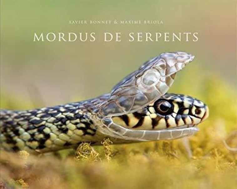 MORDUS DE SERPENTS - BONNET/BRIOLA - REGARD VIVANT