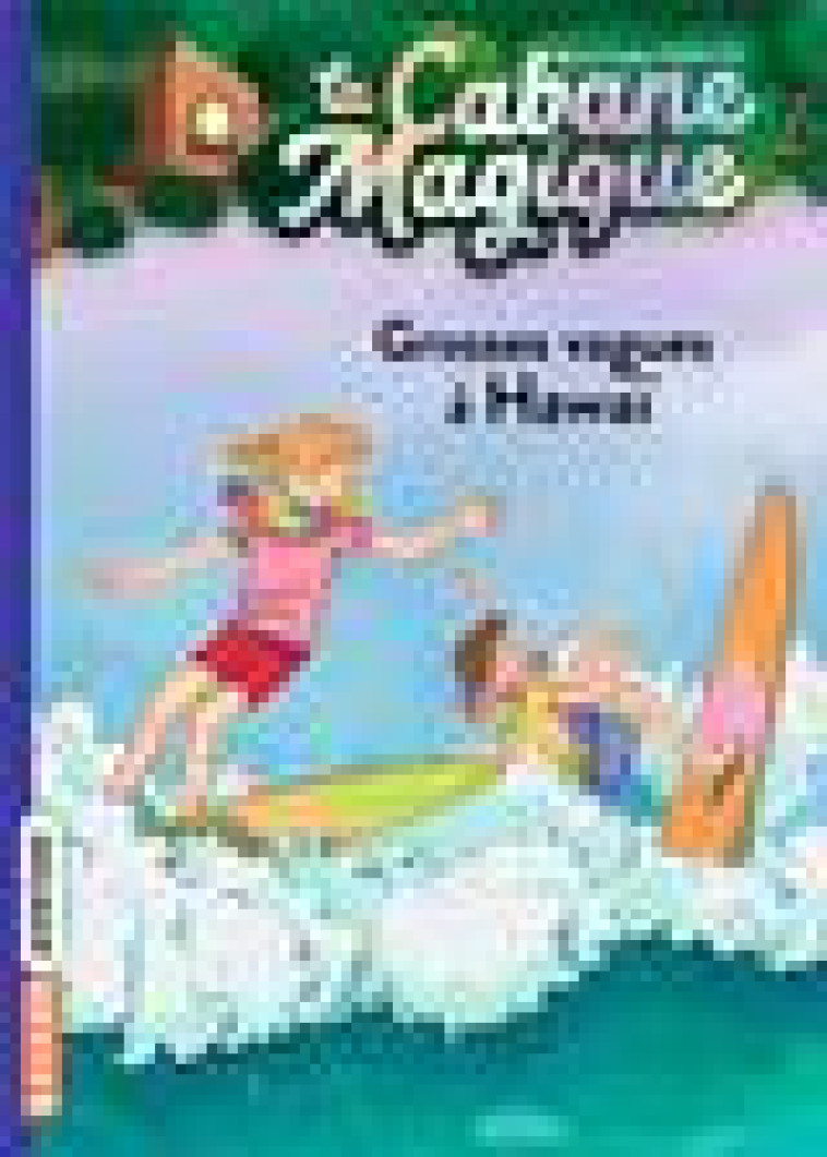 LA CABANE MAGIQUE, TOME 23 - GROSSES VAGUES A HAWAI - POPE OSBORNE/MASSON - BAYARD JEUNESSE