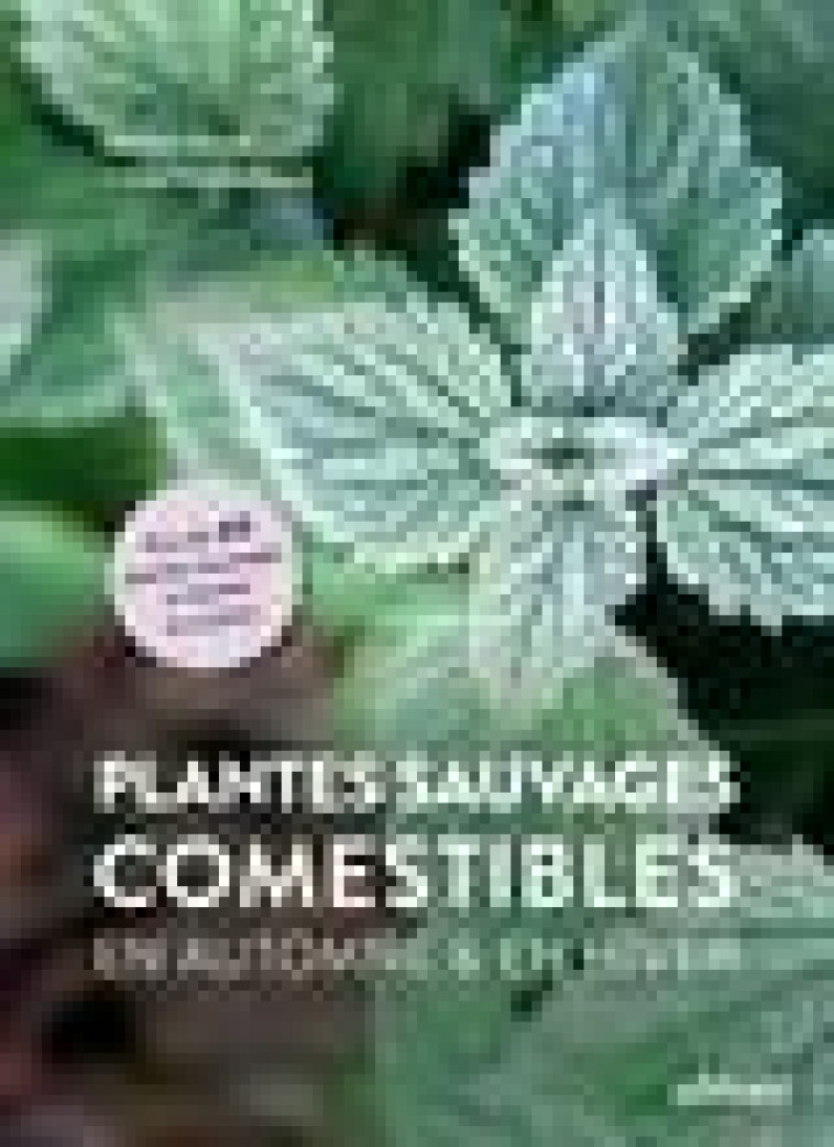 PLANTES SAUVAGES COMESTIBLES EN AUTOMNE ET EN HIVER - HISSEL/RECHENBURG - ULMER