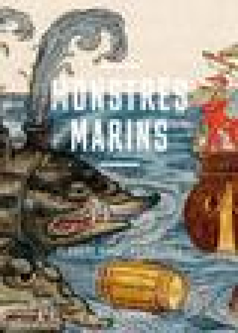 MONSTRES MARINS - PLONGEE DANS LES ABYSSES - NETCHINE EVE - CTHS EDITION