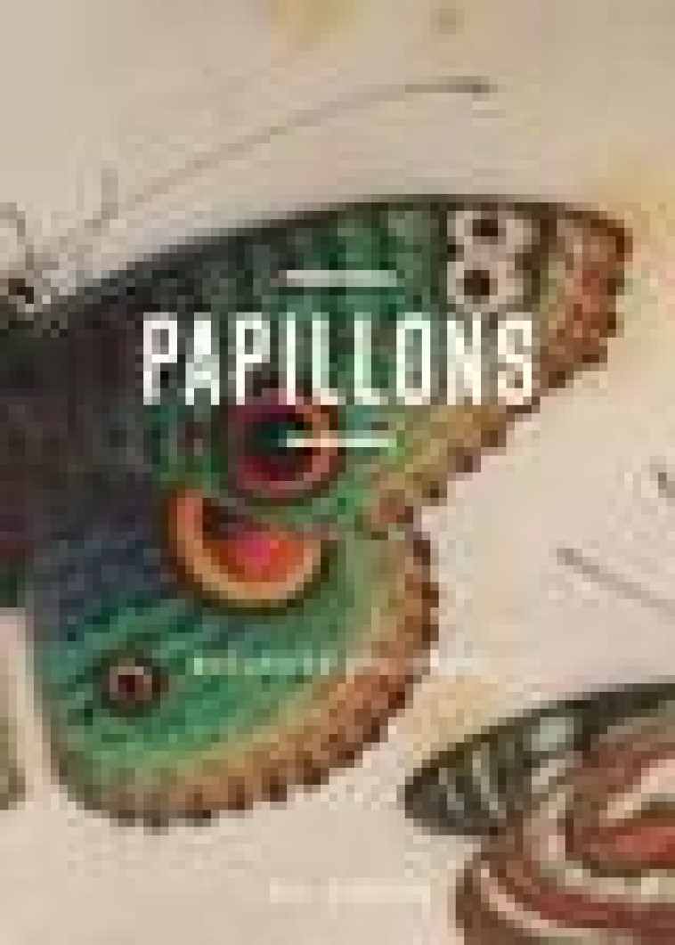 PAPILLONS - MESSAGERS EPHEMERES - L-OEIL CURIEUX - JOLY-PARVEX MORWENA - CTHS EDITION