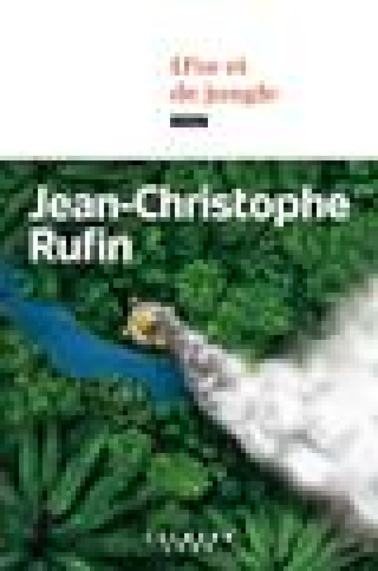 D-OR ET DE JUNGLE - RUFIN - CALMANN-LEVY