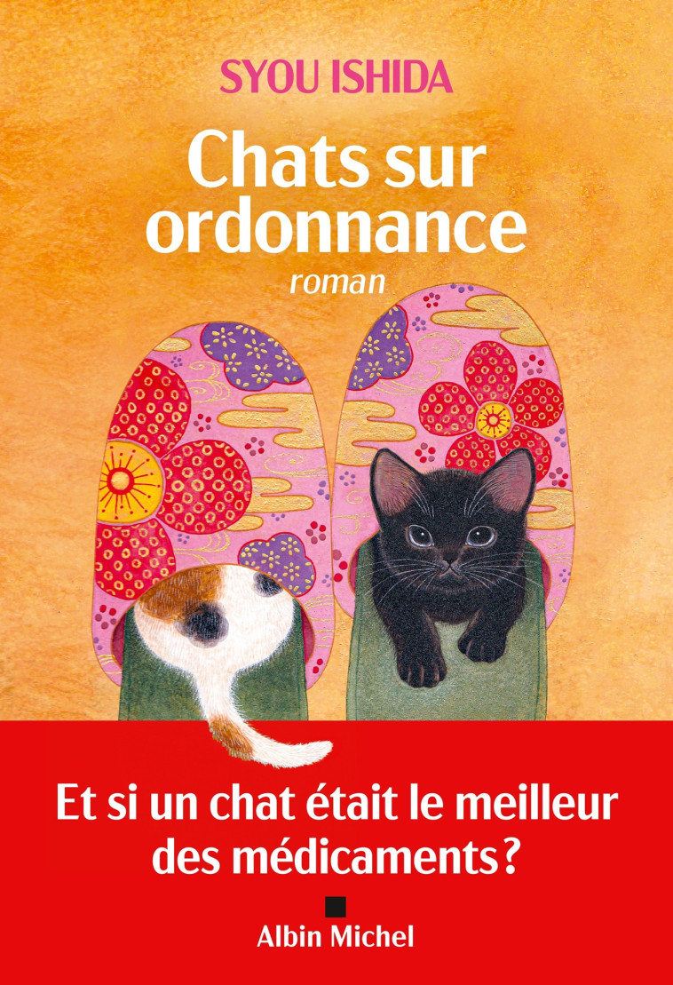 Chats sur ordonnance - Ishida Syou, Durocher Diane - ALBIN MICHEL