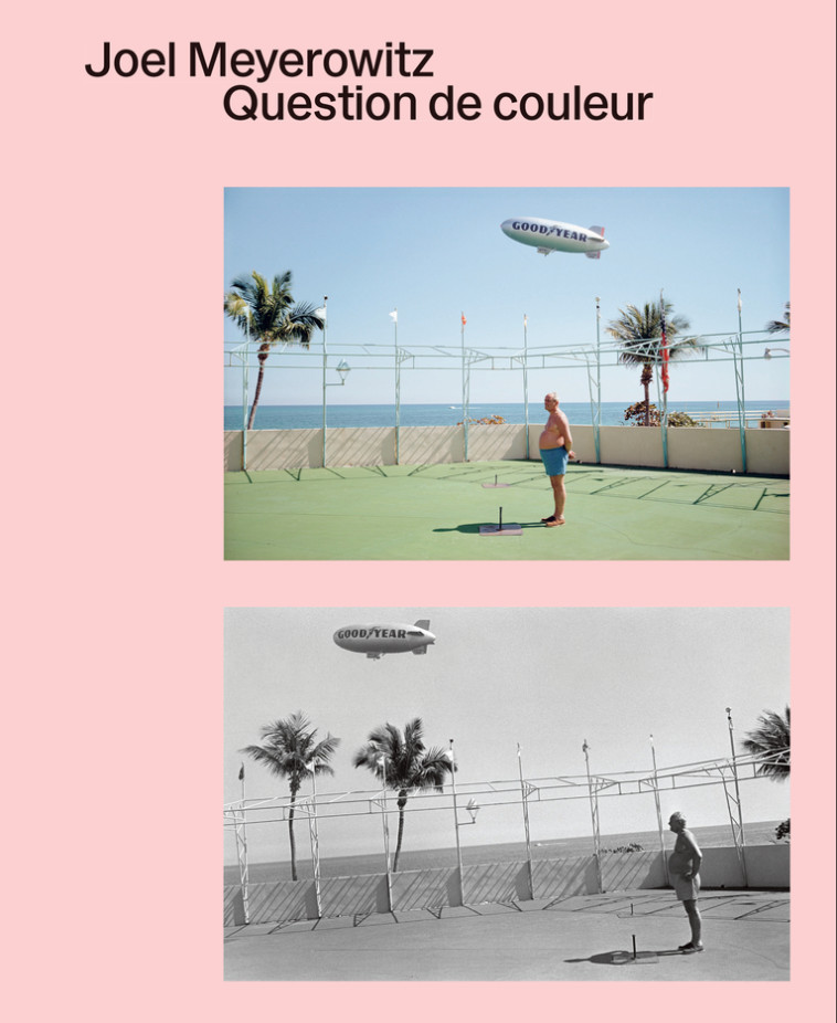 Question de couleur - Meyerowitz Joel - TEXTUEL