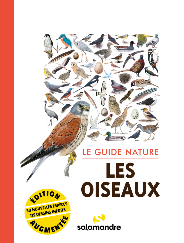 Le guide nature les oiseaux -  Collectif - LA SALAMANDRE