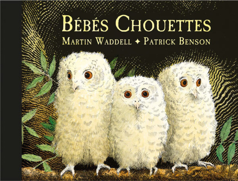 Bébés Chouettes -  Benson Patrick - EDL