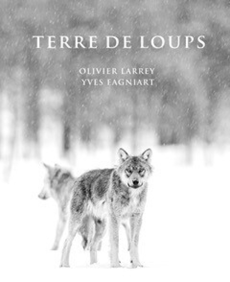 Terre de Loups - Olivier LARREY - REGARD VIVANT