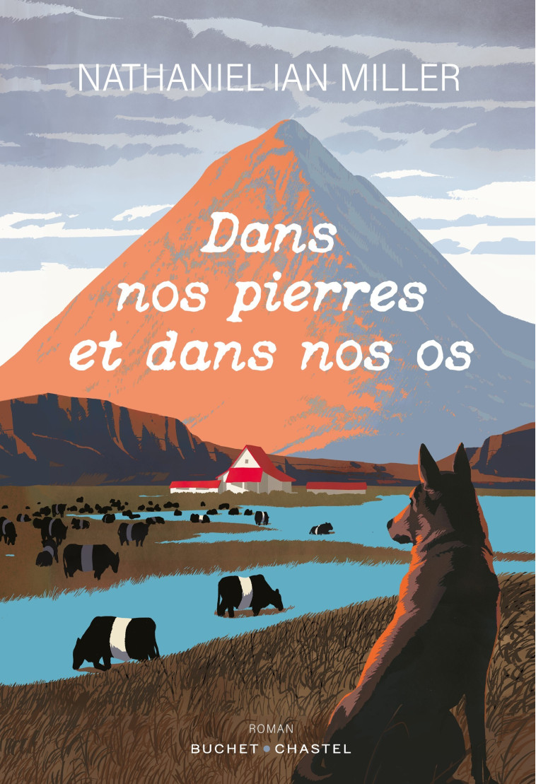 Dans nos pierres et dans nos os - Nathaniel Ian Miller - BUCHET CHASTEL