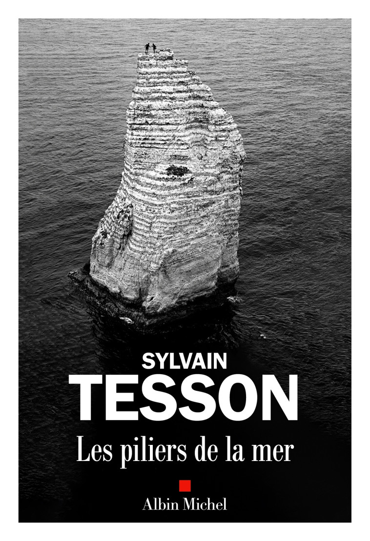 Les Piliers de la mer - TESSON SYLVAIN - ALBIN MICHEL